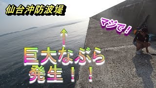 仙台沖防波堤　今季最大級のなぶら発生！！大物GET・・・なるか