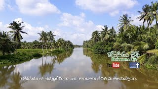 Backwaters  Konaseema  - Net Fishing - Konaseema East Godavari AP