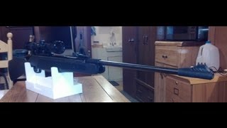 Review - Ruger Air Magnum .177 Cal Part 1(Before Super Tuning)