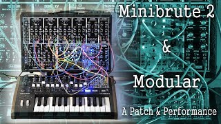 Minibrute 2 & Modular (Arturia & AJH Synth eurorack) DreamsOfWires
