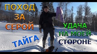 ПОХОД В ТАЙГУ ЗА СЕРОЙ  2020| СУХПАЁК МЧС | УДАЧА НА МОЕЙ СТОРОНЕ | СОЛО БУШКРАФТ