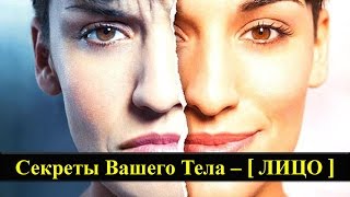 #1. Секреты Вашего Тела - ЛИЦО. Мимика человека как язык тела.