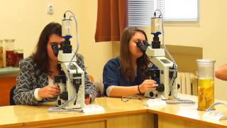 Trakia University - Stara Zagora - What’s it like to study there? , Study Medicine in Bulgaria
