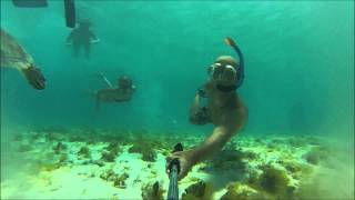 Turtle selfie - Scuba Lodge, Klein Curacao