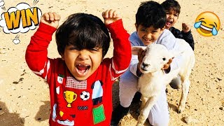 حمودي طلع الخروف للبر والخروف سبقهم ???