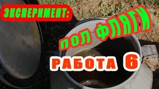 14.07.2016.работа 6.Поднимаем печатный расплод во второй корпус.