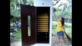 1000 EGG CAPACITY AUTOMATIC EGG INCUBATOR (0999-6985669)