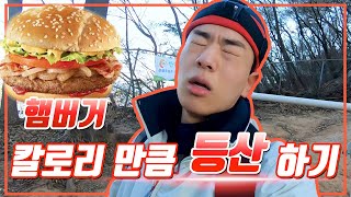 햄버거 칼로리 만큼 "등산"을 한다면?[산정상에서 먹방]
