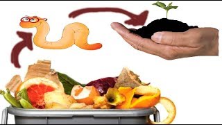 ПЕРЕРАБОТКА кухонных(органических) отходов ДОЖДЕВЫМ ЧЕРВЁМ