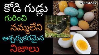 Unknown Facts About Eggs | Health Benefits Of Eating Eggs | Vitamins Present in Eggs | Vennela TV