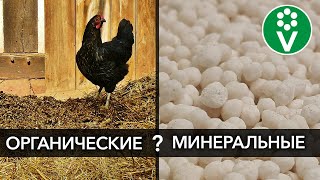 Какие удобрения лучше? ИТОГИ ЭКСПЕРИМЕНТА поставили точку в вечном споре!