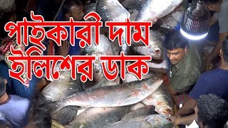 পাইকারী দাম | হালি কত চলে | ইলিশের ডাক |  26.09.2019 | HILSA RATE | WHOLESALE PRICE | Banglarmukh