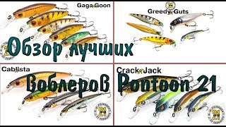 Обзор лучших воблеров Pontoon 21