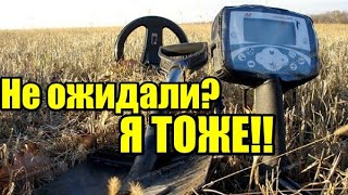 Просто ПОЛЕ ЧУДЕС! РАЗГАР СЕЗОНА! Коп осень 2019