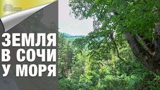 Земельный Участок в Сочи в 500 Метрах от Моря