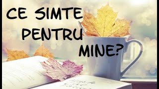 Tarot | Alege o carte | "Ce simte pentru mine ?" | Partea 2