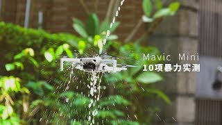【重磅独家】大疆 Mavic Mini 暴力测评！小身板能抗得住吗？