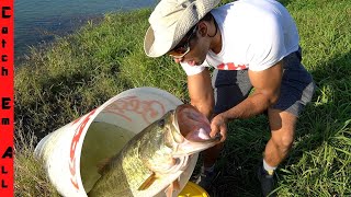 FISH TRAP for Largest SHAMU BASS!