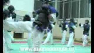 Nippon  Kempo training