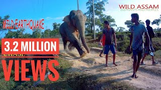 ELEPHANTS CAN SHAKE THE EARTH : Elephant running results in mild TREMOR