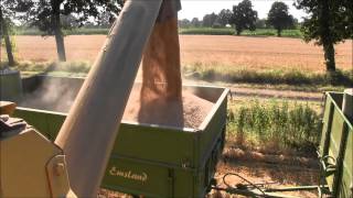 New Holland TX32 im Getreide |Deutz -DX- Power| (GoPro) [FullHD]