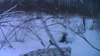 Мотобуксировщик толкач с реверсом по лесу