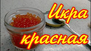 Как просто очистить от пленок и засолить икру из замороженной горбуши