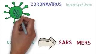 MERS-CoV (MERS/COV(Middle East Respiratory Syndrome/CORONAVIRUS)