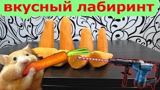 DIY съедобный лабиринт. hamster maze making своими руками.