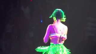 Katy Perry Teenage Dreams Live Montreal 2014 HD 1080P