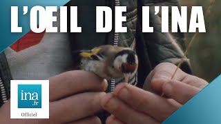 1980 : Christian chasse les oiseaux avec de la glu | Archive INA