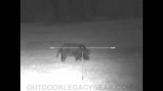 Sightmark Photon RT First Hog Kill