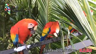 สนามฝึกบินอิสระที่มีความสุขที่สุด