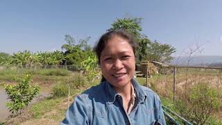 The Farm Update