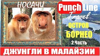 Носачи в джунглях Борнео. Малайзия