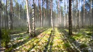 My film Гроза в деревне.