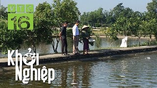 Làm giàu từ nuôi cá: Dục tốc bất đạt | VTC16