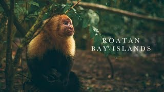 Roatan - Bay Islands (Part 2/3)