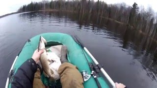 Ловля щуки на спиннинг в конце декабря (видео-отчет) рыбалка декабрь 2015 Ловля щуки в декабре