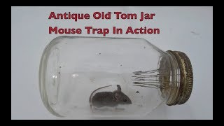 Antique "Old Tom" Jar Mouse Trap In Action With Large Spikes.
