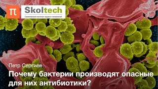 Действие антибиотиков Петр Сергиев