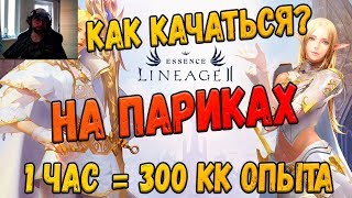 Lineage 2 Essence Как качаться на париках? Сколько опыта реально?