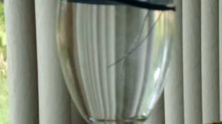 How to make Colloidal Silver with Silver wire & 12 volts