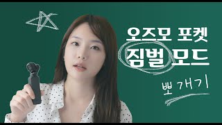 오즈모 포켓, 짐벌 모드 사용법 & 촬영 영상 l 틸트 잠김/팔로우/fpv 모드 + 고정 모드 (feat. 조종휠)
