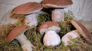 Делаем Белые Грибы Своими Руками КАК НАСТОЯЩИЕ