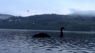 We Saw Nessie!!