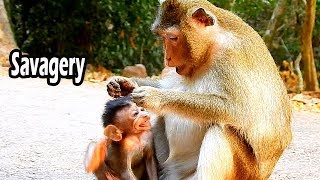 Stop Milk Like Stop Life Cos Alba Really Young And Smallest | Baby Alba Cry Ask Anna Milk