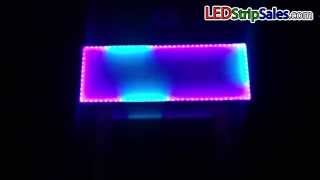 Dual Row LED Dream Color TM1812IC 5050SMD Waterproof IP67 Flexible LED Light Strips