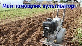 Мой помощник культиватор.
