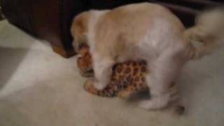 Small Dog Humps Stuffed Animal